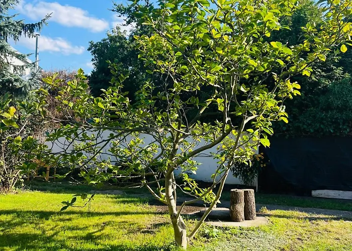 Dom wakacyjny Dom Z Ogrodem W Zaciszu W-wy Warszawa